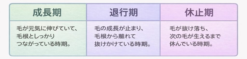 成長期、退行期、休止期の説明